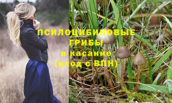 бошки Краснотурьинск