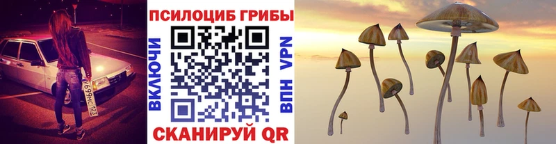 площадка какой сайт  Эртиль  Псилоцибиновые грибы прущие грибы 