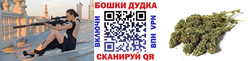 Каннабис сатива Эртиль